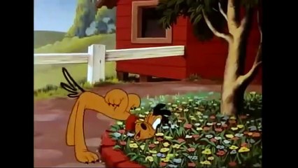 Donald Duck - The Eyes Have It 1945