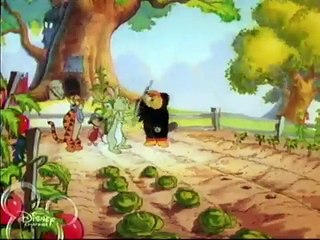 Caws and Effect (Winnie the Pooh)