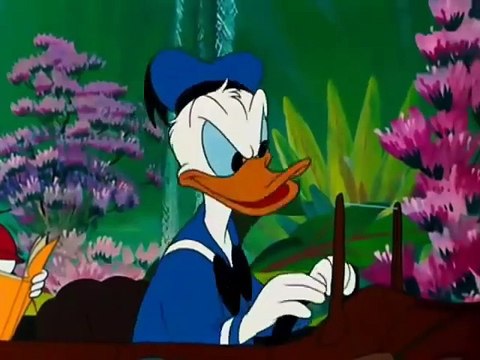 Donald Duck - Don's Fountain of Youth 1953