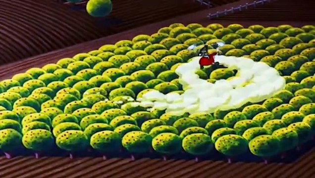 Chip And Dale Donald Duck - Donald Duck Cartoons Full Episodes - New Chip And Dale 2015 - EP3