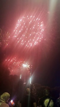 Le Feu d’artifice du 14 juillet Grenoble Parc Jean-Verlhac Villeneuve #france #grenoble #show (48)