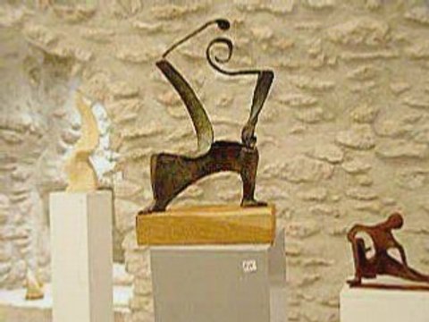 Film exposition à Blois chinoiseries