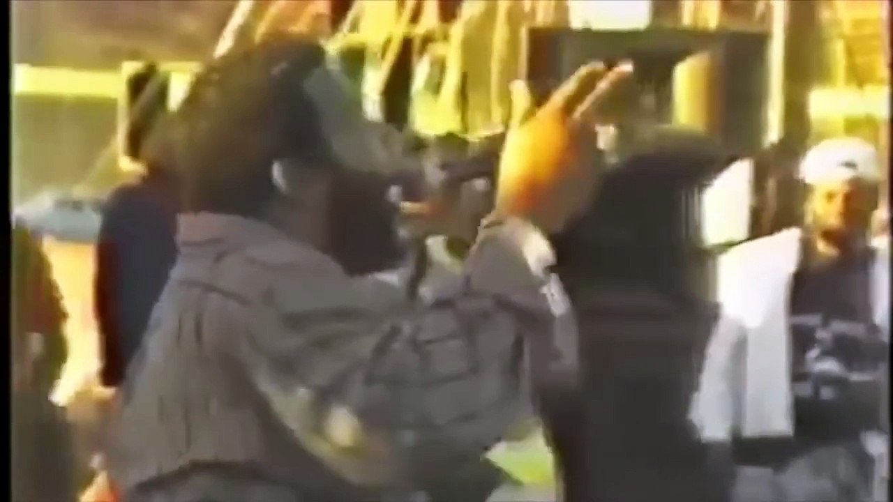 STING 1989 REGGAE SHOW (TIGER, PAPA SAN, BAILEY, JOSEY WALES) & MORE