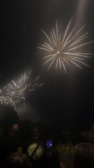 Le Feu d’artifice du 14 juillet Grenoble  Parc Jean-Verlhac Villeneuve #france #grenoble #show (10)