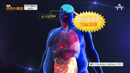 30년 차 동갑내기 부부의 다이어트 도전기! 하복부 운동 다 같이 해볼까요?