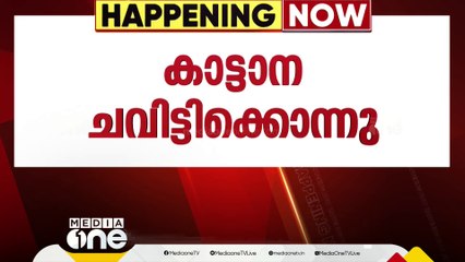 അട്ടപ്പാടിയിൽ കാട്ടാന ആക്രമണത്തിൽ വയോധികന് ദാരുണാന്ത്യം