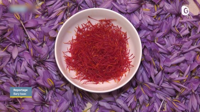 JT DES TERRITOIRES - 11/11/23 - TEMPÊTES - CONTRE L’UBERISATION - UNE STARTUP - SAFRAN