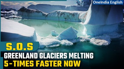 Alarming Acceleration: Greenland's Glacial Melting Surges Fivefold Amid Global Warming| Oneindia