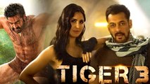 Will RRR Star ‘Junior NTR’ Make His Grand Entry With ‘Salman Khan’ In Tiger 3?