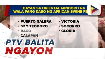 8 bayan sa Oriental Mindoro, nasa state of calamity dahil sa ASF