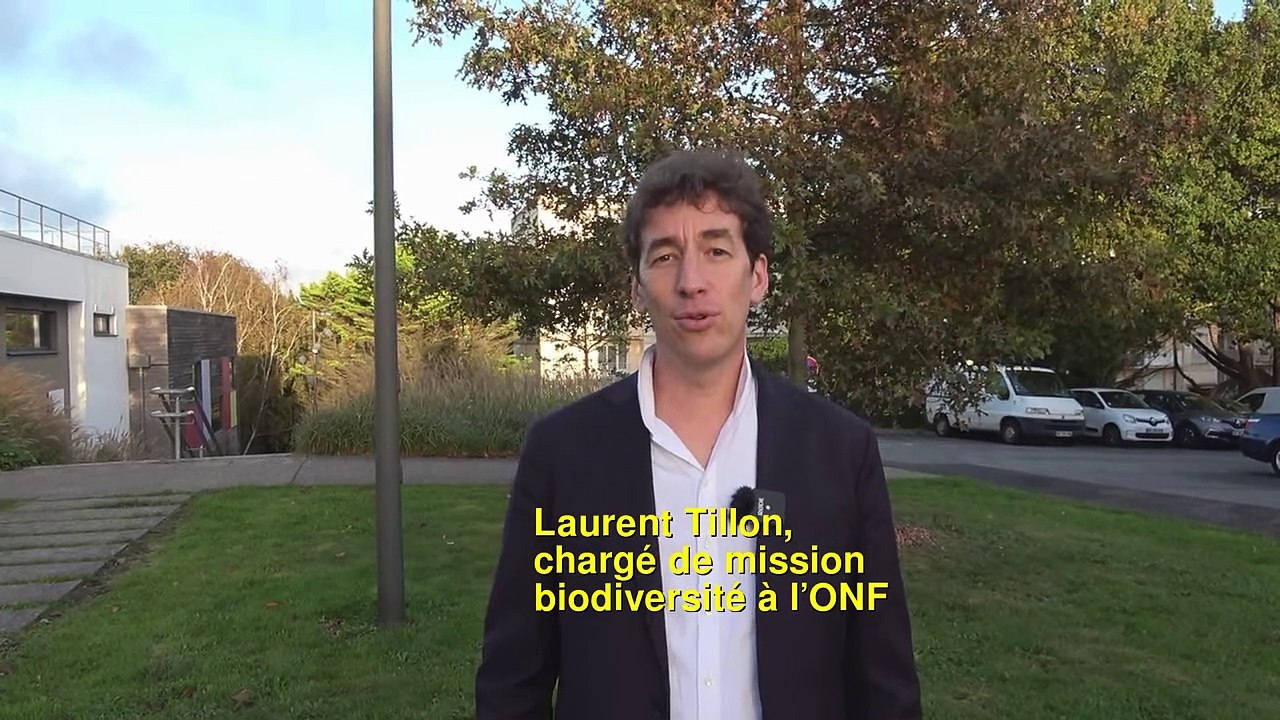 Laurent Tillon, chargé de mission biodiversité à l’ONF