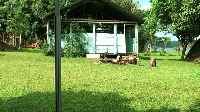 Lake Victoria Ssese Island Kingfisher Campsite, nice campsite directly at the shore of the lake, near the ferry landing