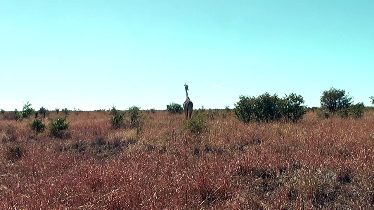 Hunters Road in Botswana