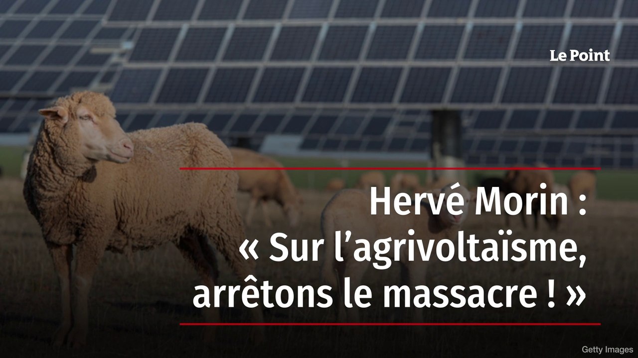 Hervé Morin : « Sur l’agrivoltaïsme, arrêtons le massacre ! »