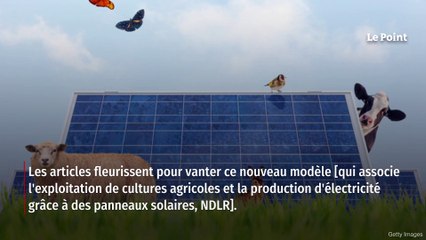 Hervé Morin : « Sur l’agrivoltaïsme, arrêtons le massacre ! »