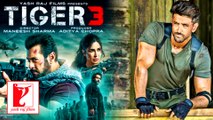 Yash Raj Films ने फाइनली बताया Salman Khan की Tiger 3 को दिवाली पर रिलीज करने का बड़ा कारण, बोले फिल्म अच्छी कमाई करेगी