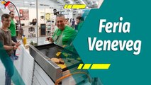 Punto Verde | Segunda Edición de la Feria Vegana y Sostenible Venezuela 2023