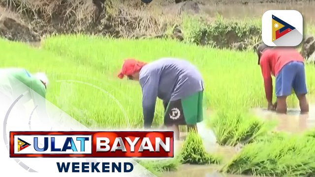 DA: Produksiyon ng agrikultura, dapat pang palakasin