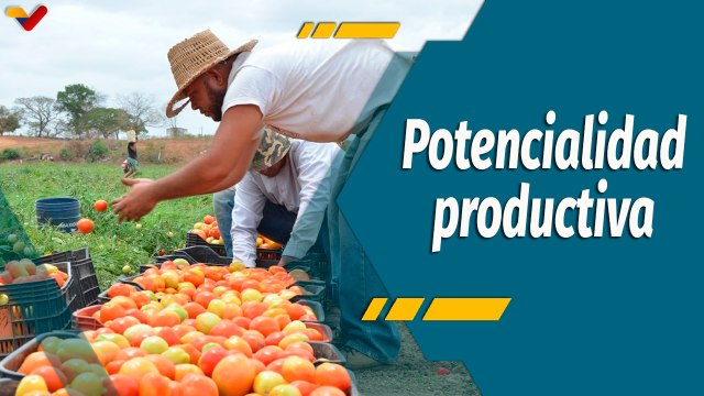 A Todo Motor por Venezuela | Potencialidades del sector agroalimentario y agroindustrial de Guárico