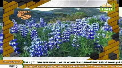 الكلم الطيب - الشيخ محمد حسين يعقوب