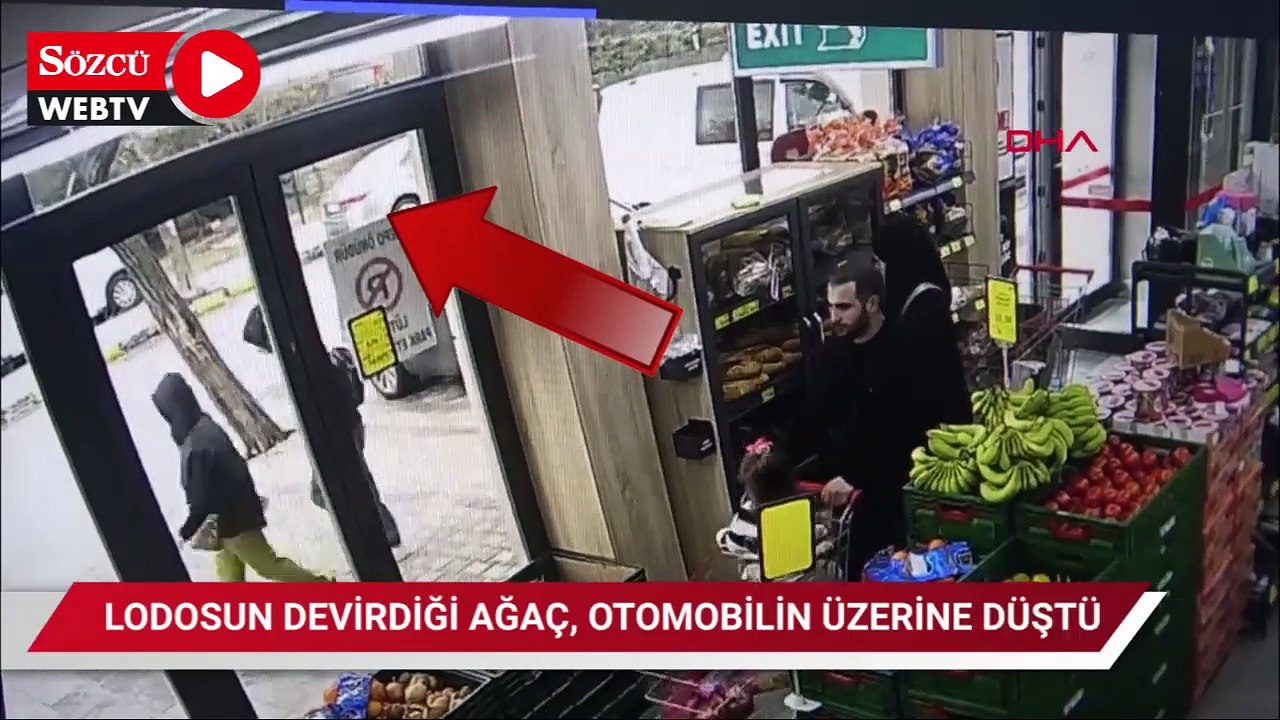 Lodosun devirdiği ağaç, otomobilin üzerine düştü