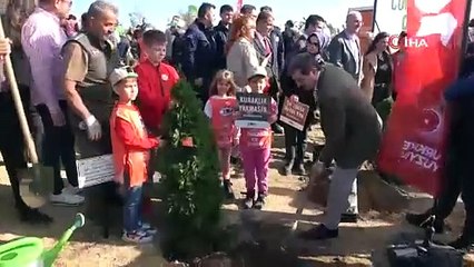 Samsun’da Milli Ağaçlandırma Günü: 100 bin fidan toprakla buluştu