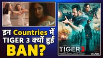 Tiger 3 Ban: Salman Khan और Katrina की Film हुई इन Countries में BAN, ये है बड़े Reasons! FilmiBeat