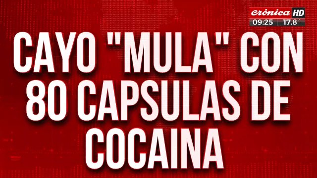 Cayó mula que intentó viajar a Europa con 80 cápsulas de cocaína en su cuerpo