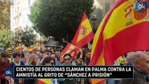 Cientos de personas claman en Palma contra la amnistía al grito de 