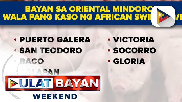 8 bayan sa Oriental Mindoro, isinailalim sa state of calamity dahil sa ASF