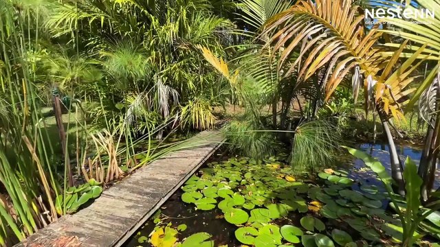 Maison à Vendre à Nondoué - Agence immobilière Nestenn Nouméa