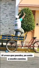 Adulto mayor con discapacidad sorprende al trabajar como jardinero