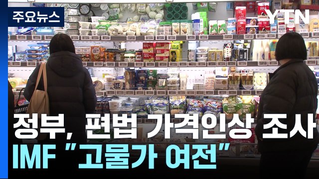 정부, 편법 가격인상 조사...IMF 고물가 여전 / YTN
