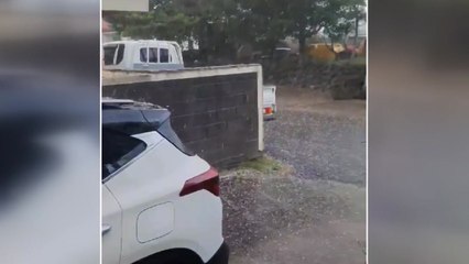 제주에 기습 우박...배추 등 농작물 피해 / YTN