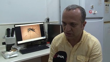 L'incapacité des moustiques à hiberner suscite des inquiétudes