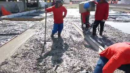 Screed Vibrator - PME Dubai