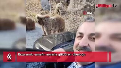 Erzurumlu esnafın ayılarla güldüren diyaloğu