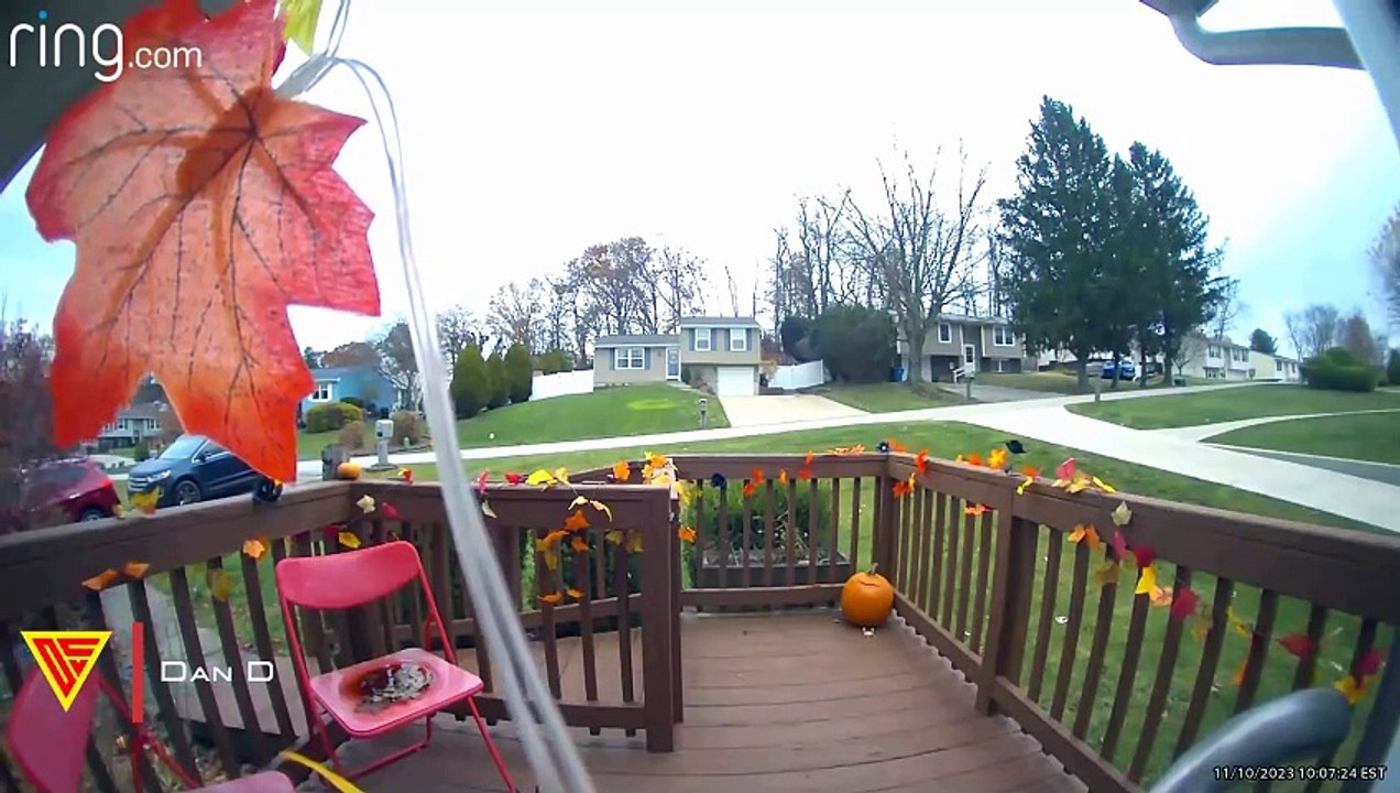 Fast Dobermann Dog Jumps Over Fence Caught on Ring Camera | Doorbell Camera Video