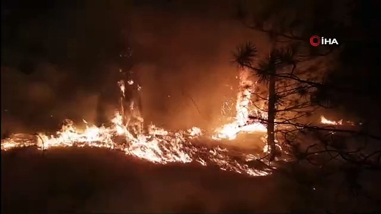 Anız yangını çamlık alana sıçradı