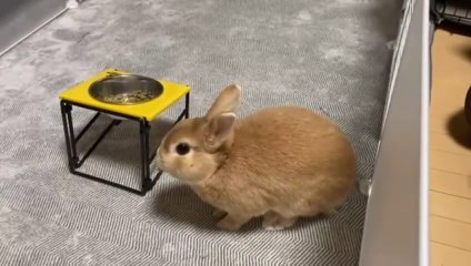 Charlie Forde - Side Effects May Vary