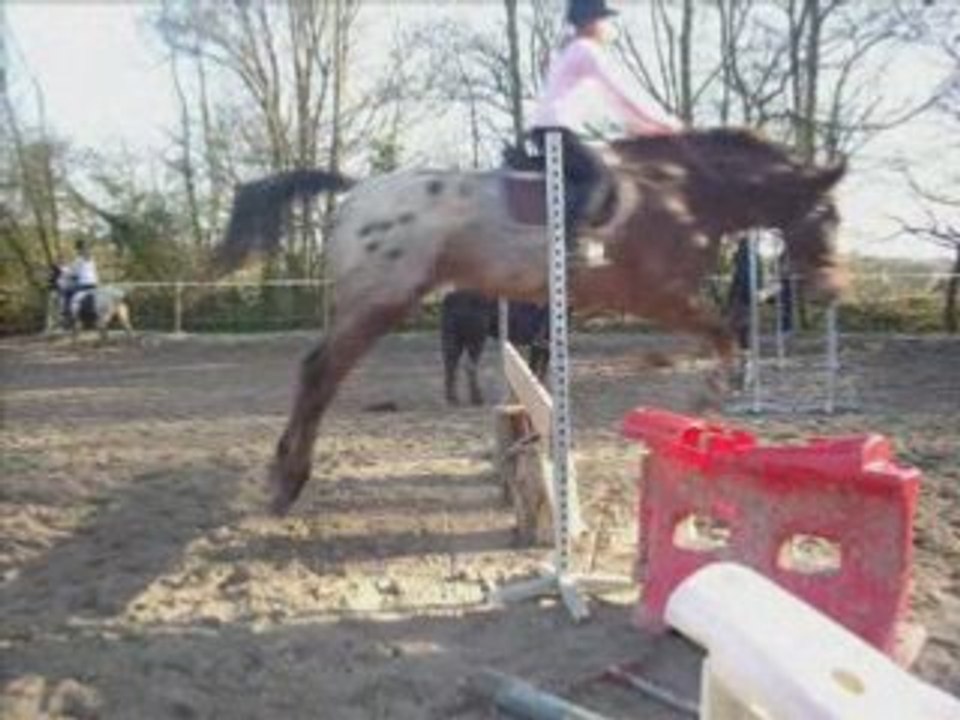 Pompom et moi le 29.03.08 cso
