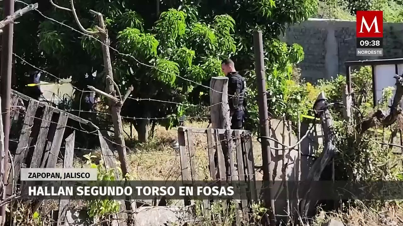 Hallan dos torsos de fosas clandestinas localizadas en Zapopan