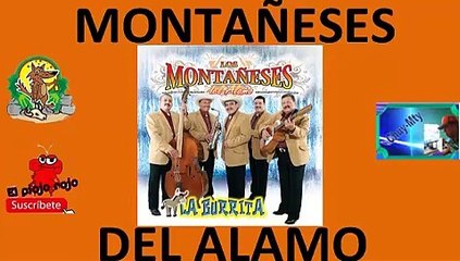 Los Montañeses del alamo Seleccion para ti solo conocedores minimix v3
