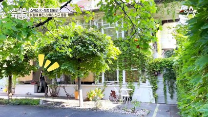 답 없는 물가를 피하고자 독일로 선을 넘는 스위스 현지인들? 충격적인 물가에서 살아남는 꿀팁! #스위스 #국제부부