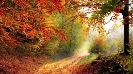 Relaxation Music to Relieve All Stress | Great for Spa, Massage, and Sound Sleep