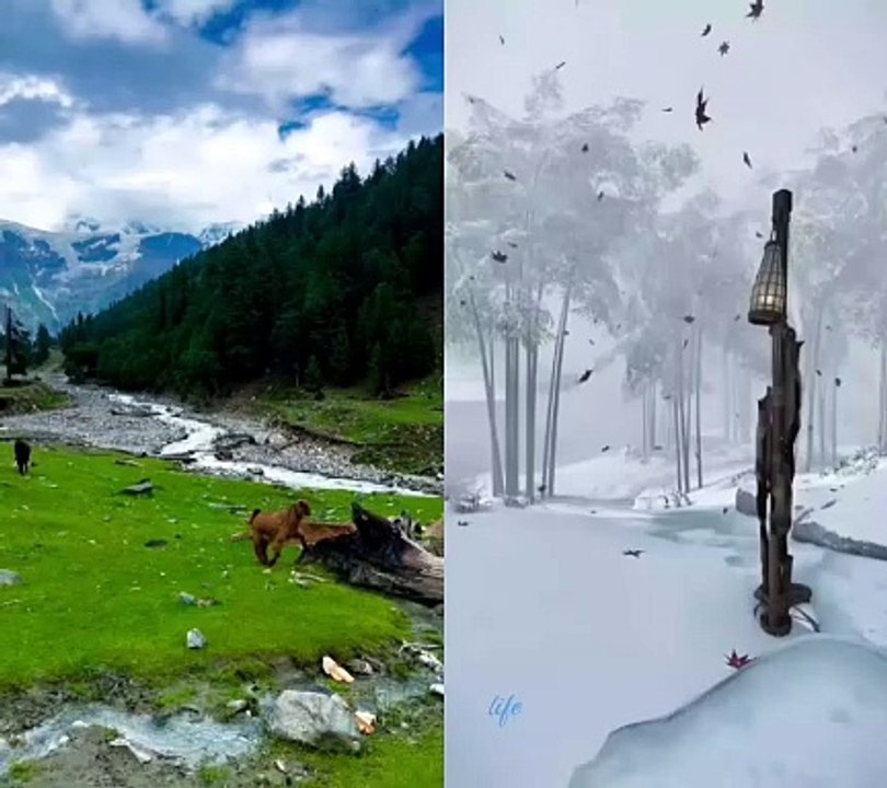 پرسکون مناظر