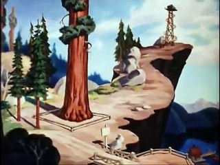 Donald Duck   Old Sequoia