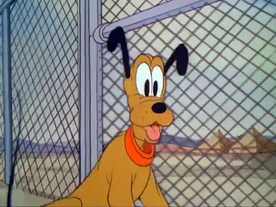 Pluto - The Army Mascot