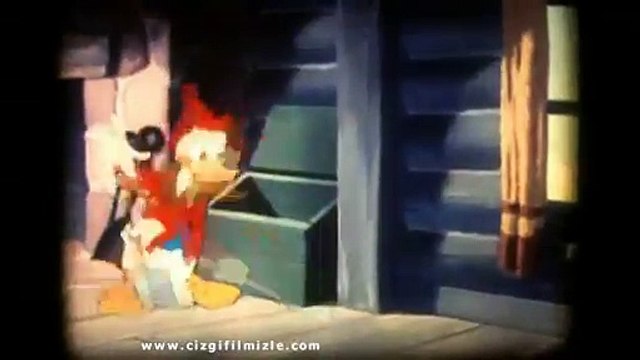 Donald Duck - Chip ve Dale (cizgifilmizle.com)