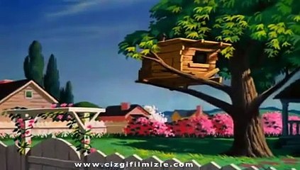 Donald Duck - Donald'ın Doğum Günü (cizgifilmizle.com)